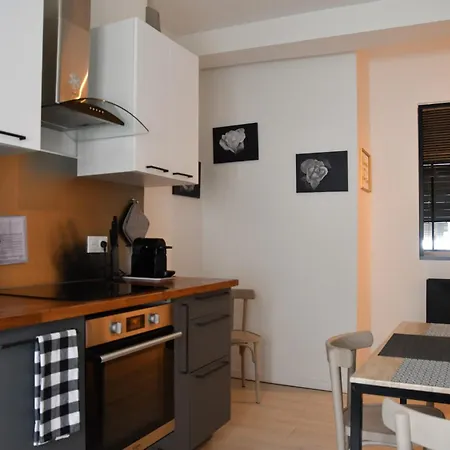 Le Yellow Corner Voironnais Apartment *